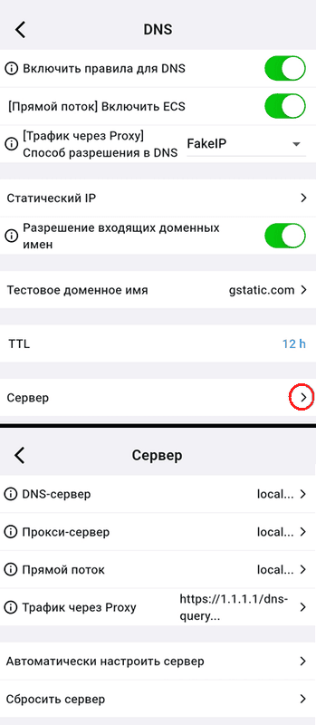 Расширенные настройки DNS